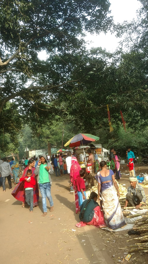 Narayani, Balugaon, Near Chilika,Odisha