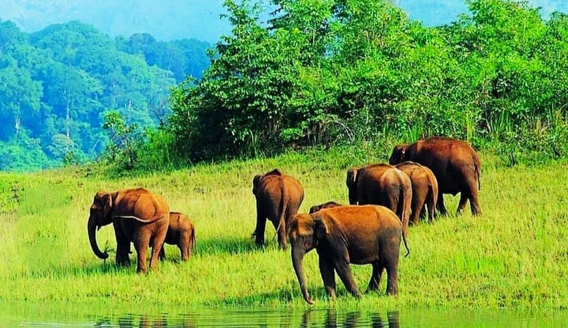 Periyar National Park