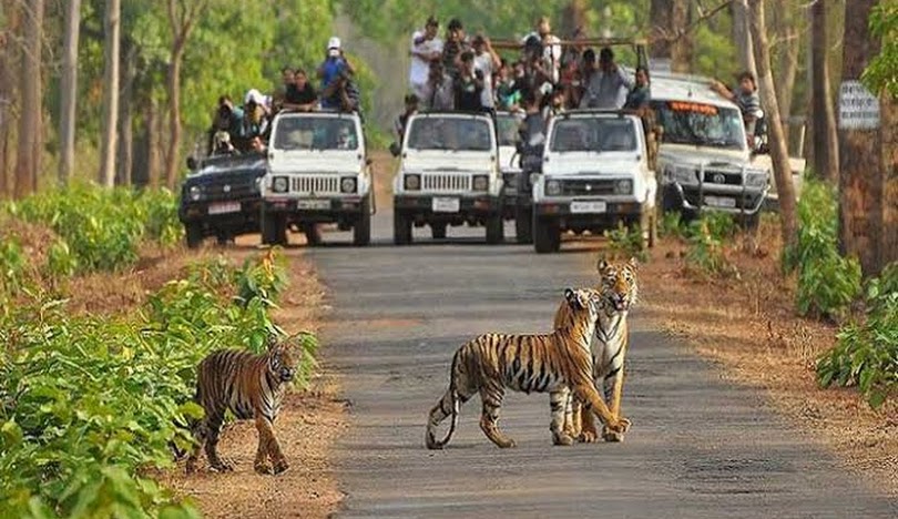 Ranthambore National Park