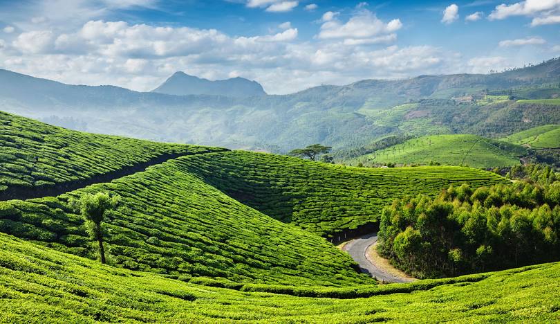 Kerala Munnar