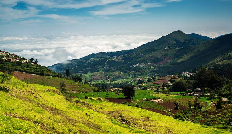 Ooty