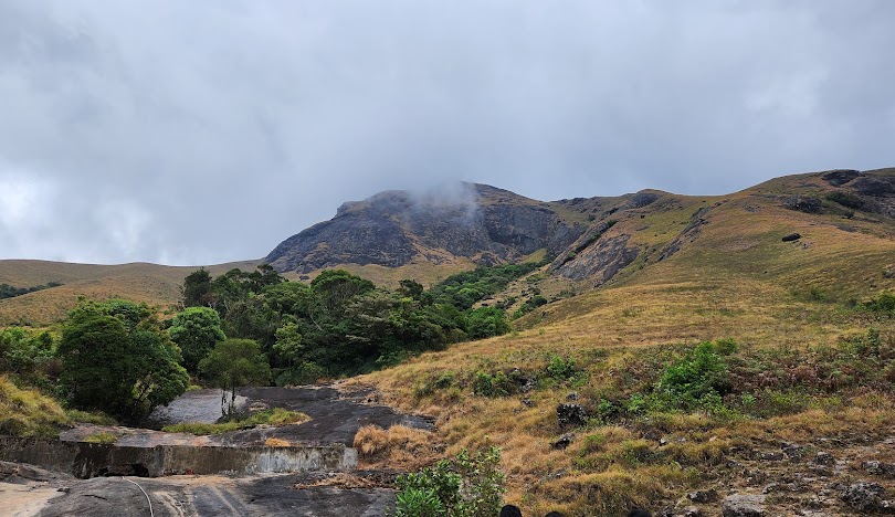 Eravikulam National Park