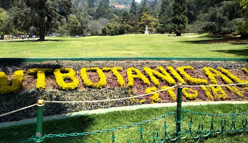 Government Botanical Garden Ooty 