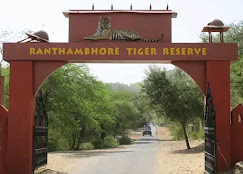 Ranthambore National Park