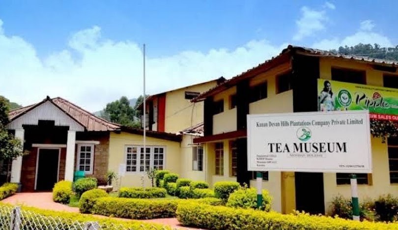 Tea Museum